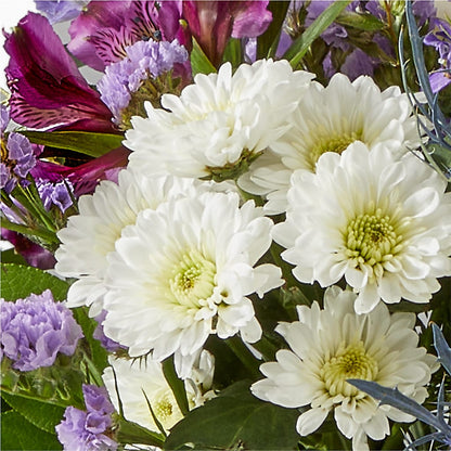 Shooting Star Bouquet –  Colonial Nursery Garden Center, Ladysmith WI