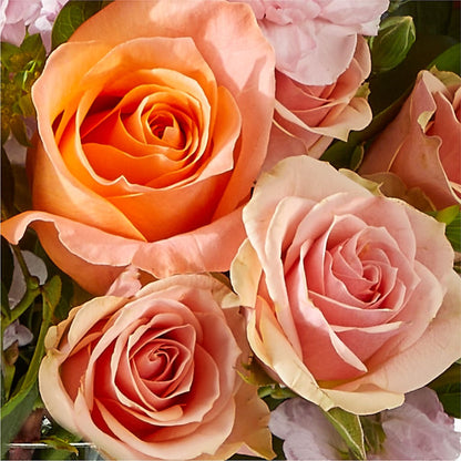 French Market Bouquet –  Colonial Nursery Garden Center, Ladysmith WI