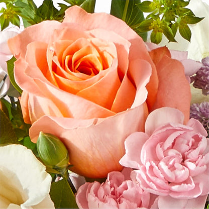 French Market Bouquet –  Colonial Nursery Garden Center, Ladysmith WI