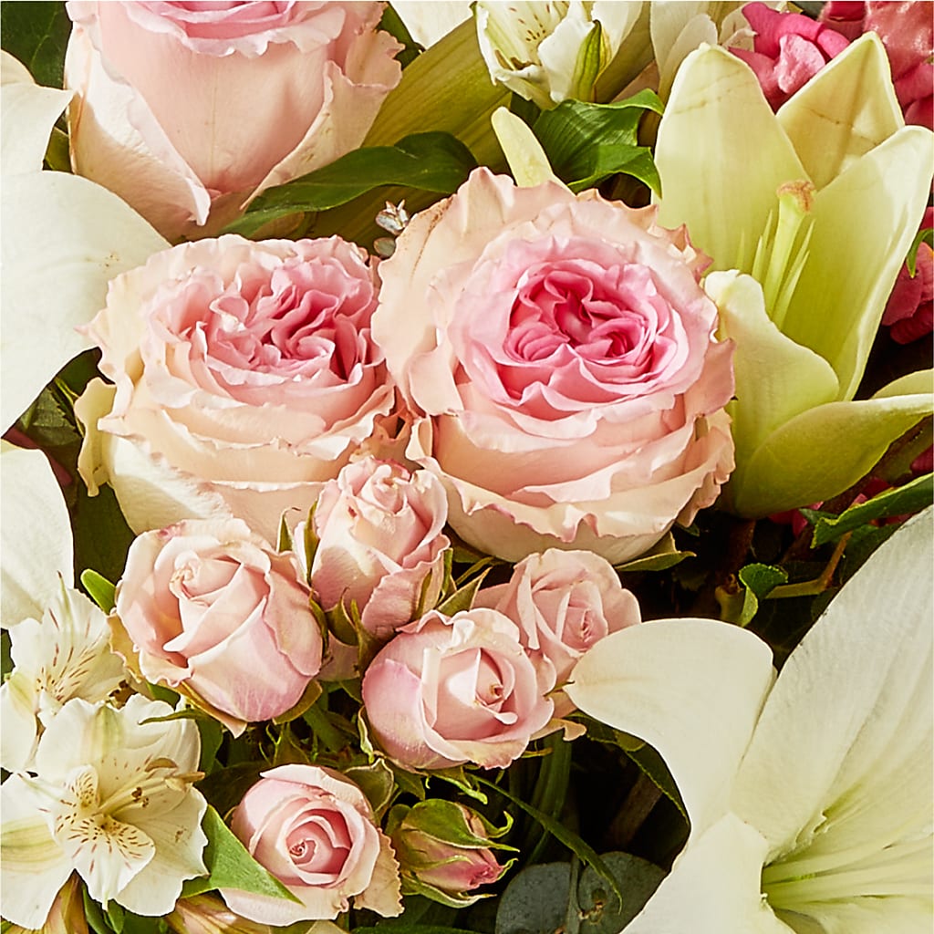 Ballet Slippers Bouquet –  Colonial Nursery Garden Center, Ladysmith WI
