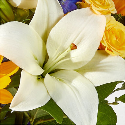 Wonderfully Sunny Bouquet –  Colonial Nursery Garden Center, Ladysmith WI