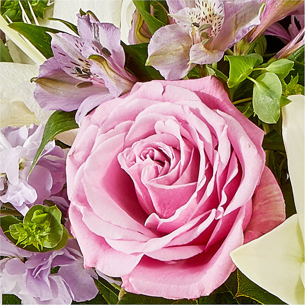 Daydreamer Bouquet –  Colonial Nursery Garden Center, Ladysmith WI
