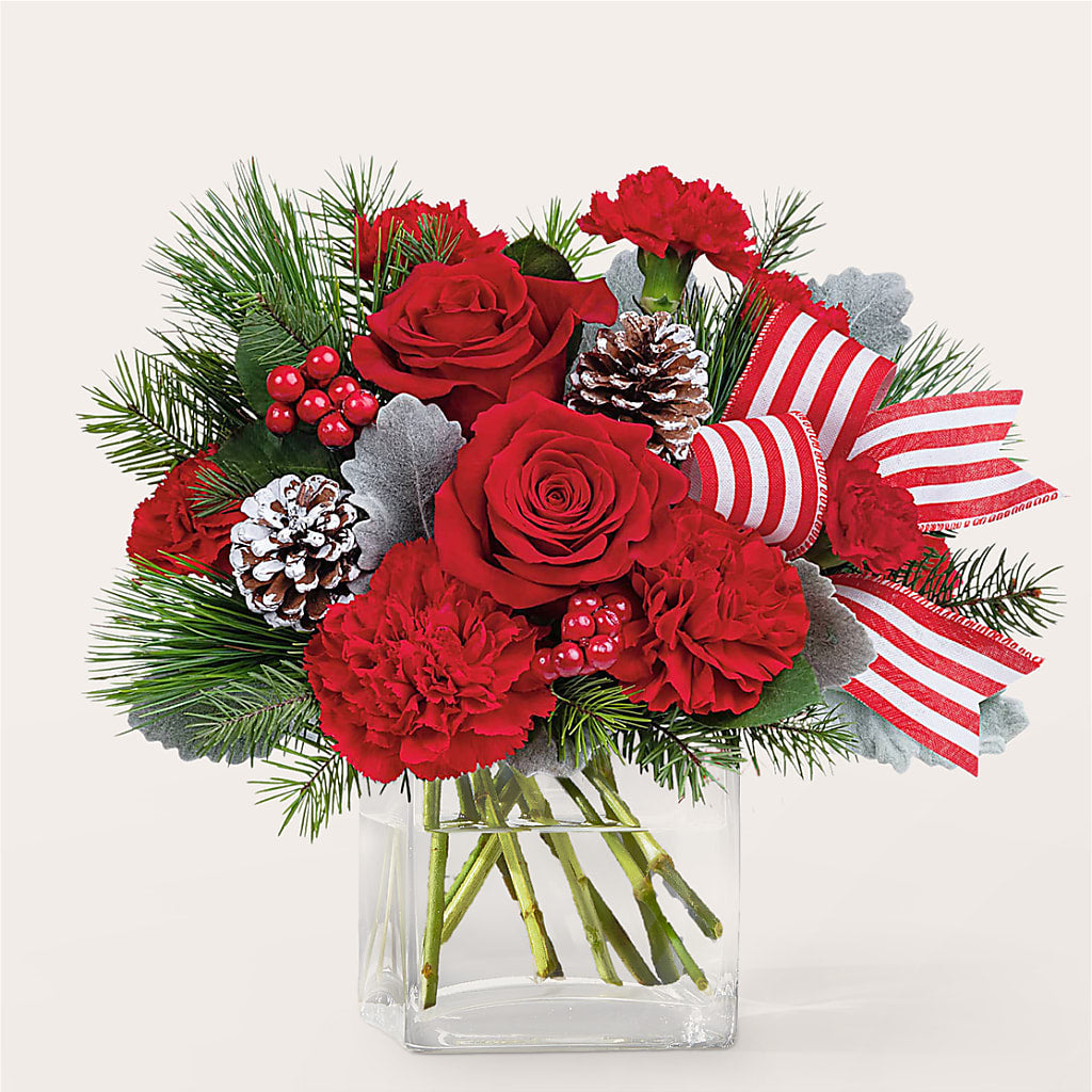 Baking Spirits Bright Bouquet –  Colonial Nursery Garden Center, Ladysmith WI