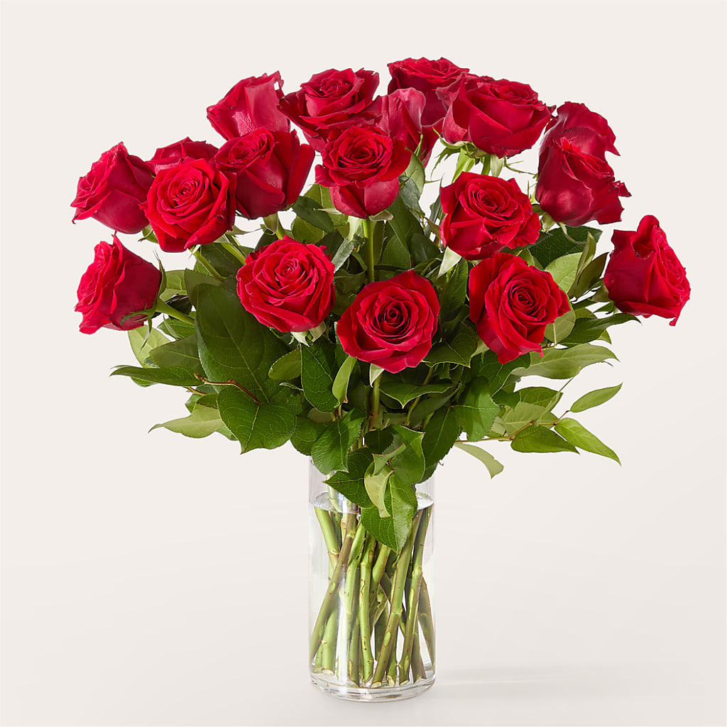 The One Red Rose Bouquet –  Colonial Nursery Garden Center, Ladysmith WI