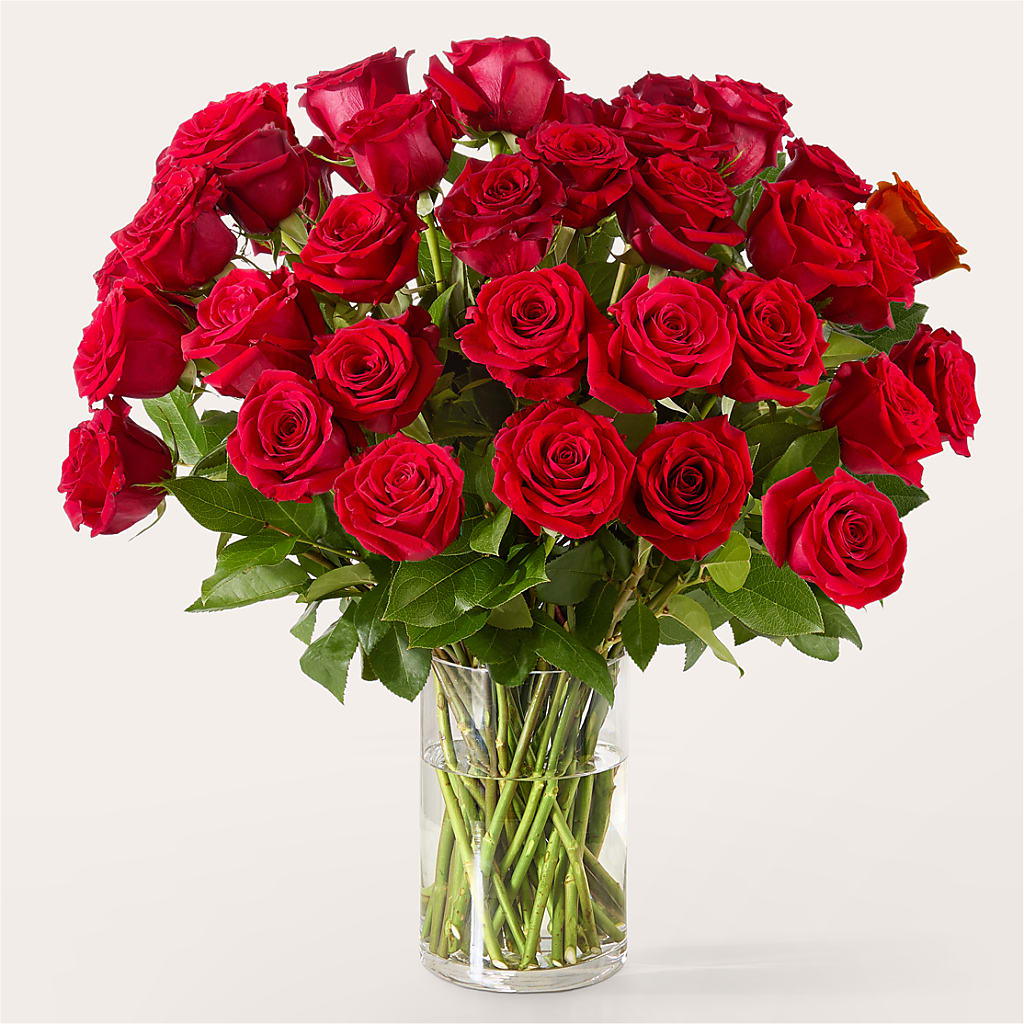 The One Red Rose Bouquet –  Colonial Nursery Garden Center, Ladysmith WI