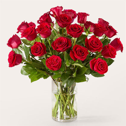 The One Red Rose Bouquet –  Colonial Nursery Garden Center, Ladysmith WI