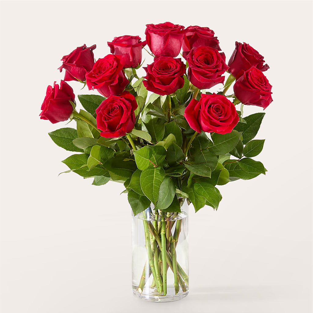 The One Red Rose Bouquet –  Colonial Nursery Garden Center, Ladysmith WI
