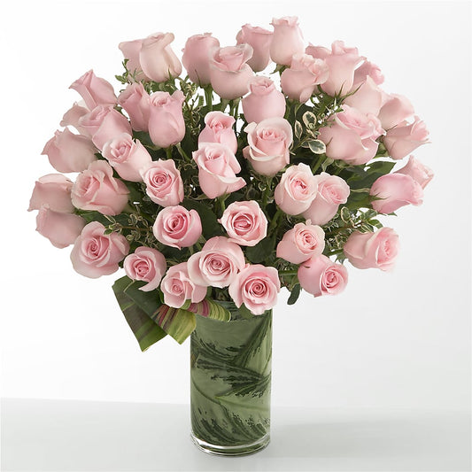 Pink Essence –  Colonial Nursery Garden Center, Ladysmith WI