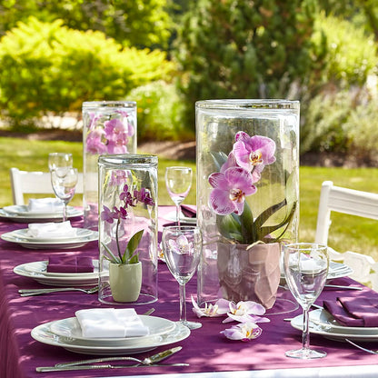 Dramatic Garden Centerpiece –  Colonial Nursery Garden Center, Ladysmith WI