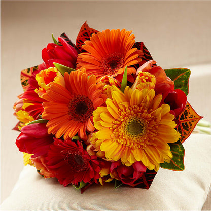 Sunglow Bouquet –  Colonial Nursery Garden Center, Ladysmith WI