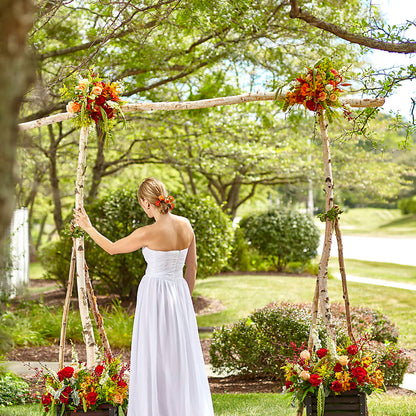 Arbor of Love Archway –  Colonial Nursery Garden Center, Ladysmith WI