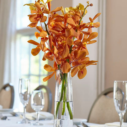 Orange Mokara Bud Vase –  Colonial Nursery Garden Center, Ladysmith WI