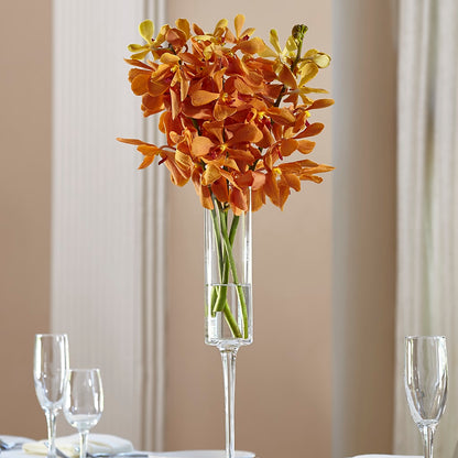 Orange Mokara Bouquet –  Colonial Nursery Garden Center, Ladysmith WI