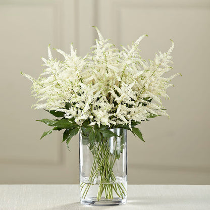 White Astilbe Bouquet –  Colonial Nursery Garden Center, Ladysmith WI
