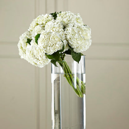 White Hydrangea Hand-Tied Bouquet –  Colonial Nursery Garden Center, Ladysmith WI