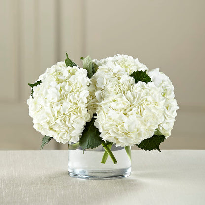 White Hydrangea Bouquet –  Colonial Nursery Garden Center, Ladysmith WI