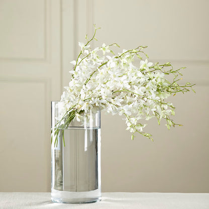 White Dendrobium Bouquet –  Colonial Nursery Garden Center, Ladysmith WI