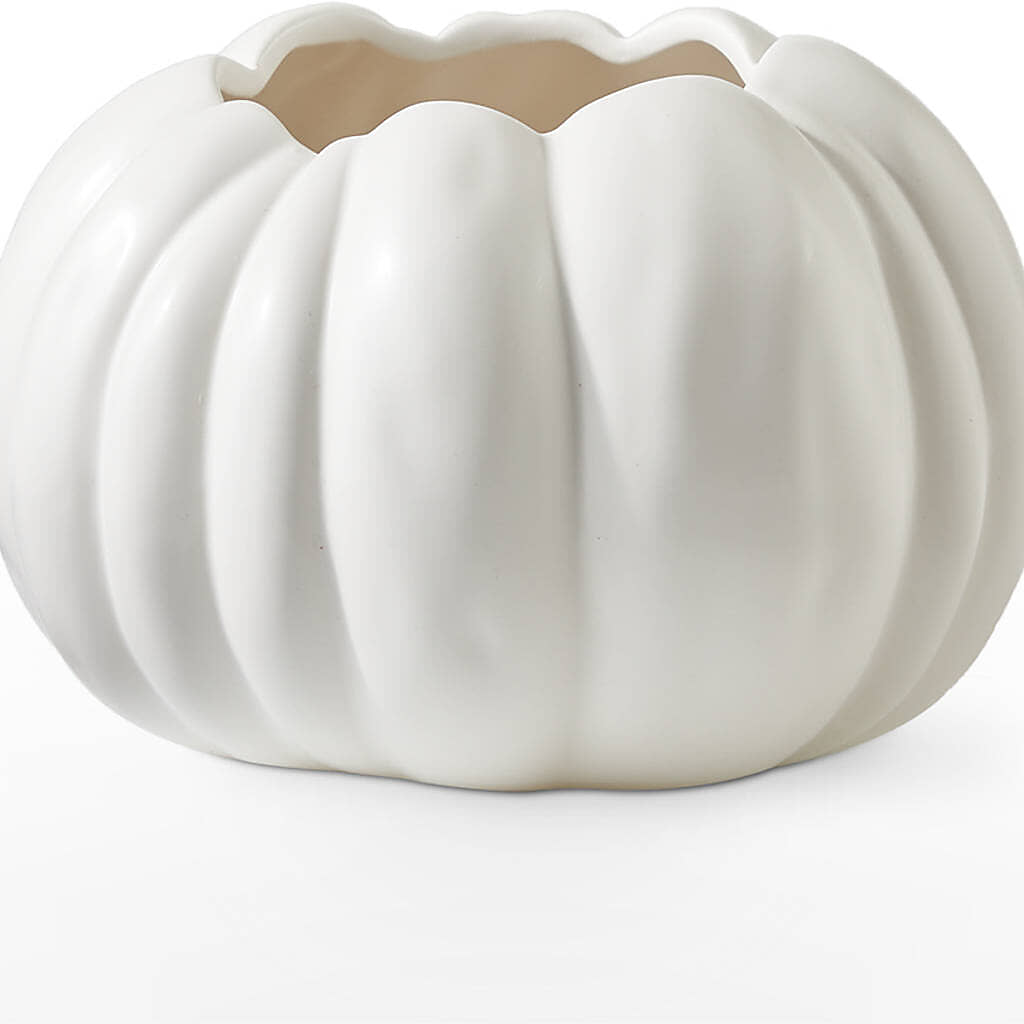 Pumpkin to Talk About Bouquet –  Colonial Nursery Garden Center, Ladysmith WI